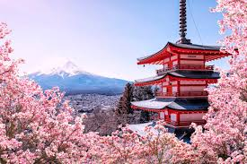 Japan in Spring: Cherry Blossoms & Ancient Traditions