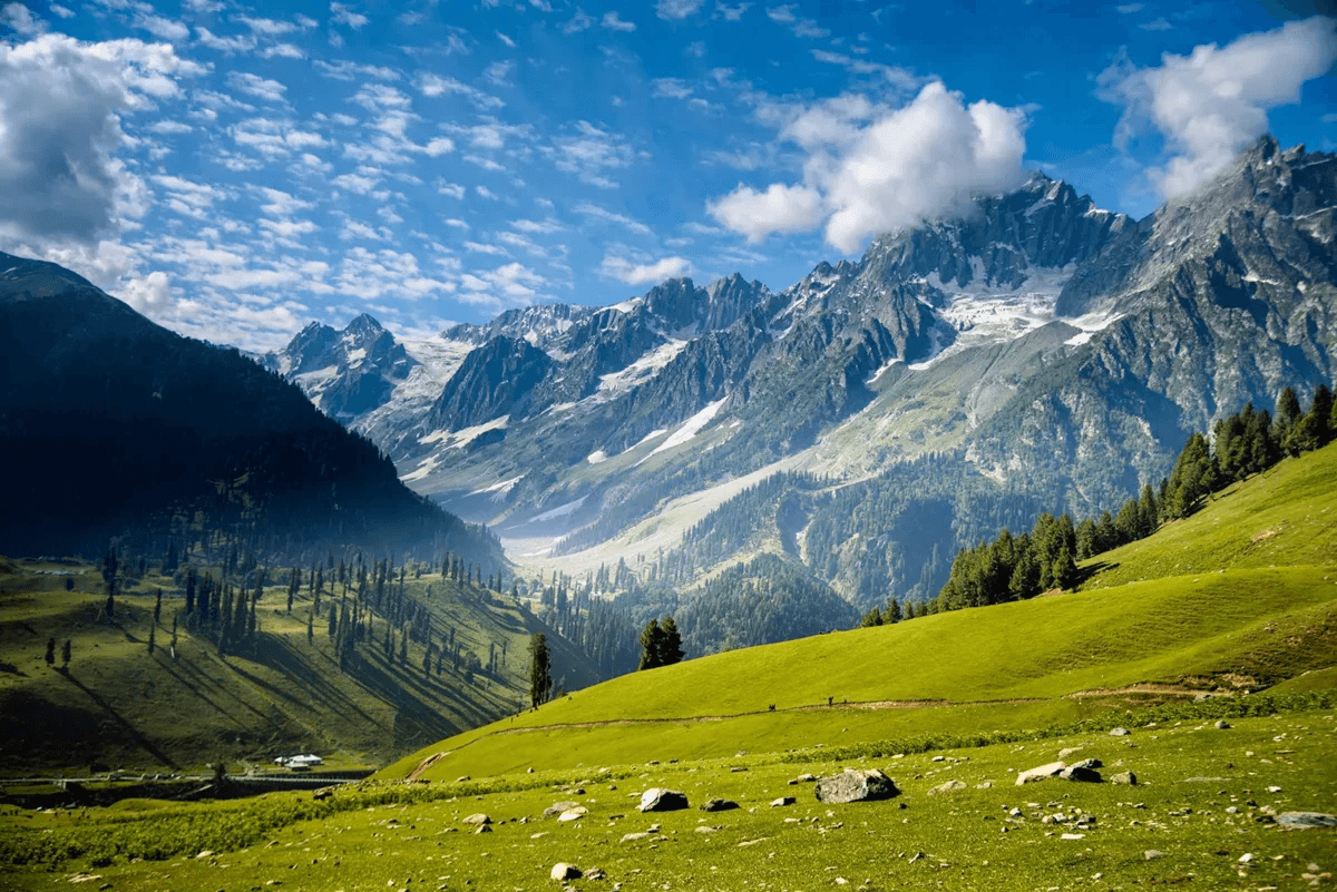 Kashmir