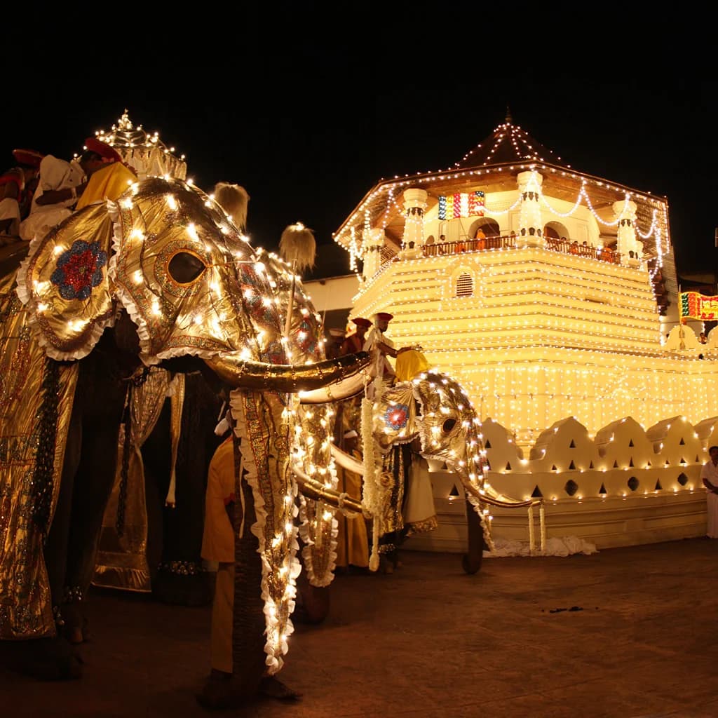 Kandy Escape: Premium Tour Package (3 Nights / 4 Days)