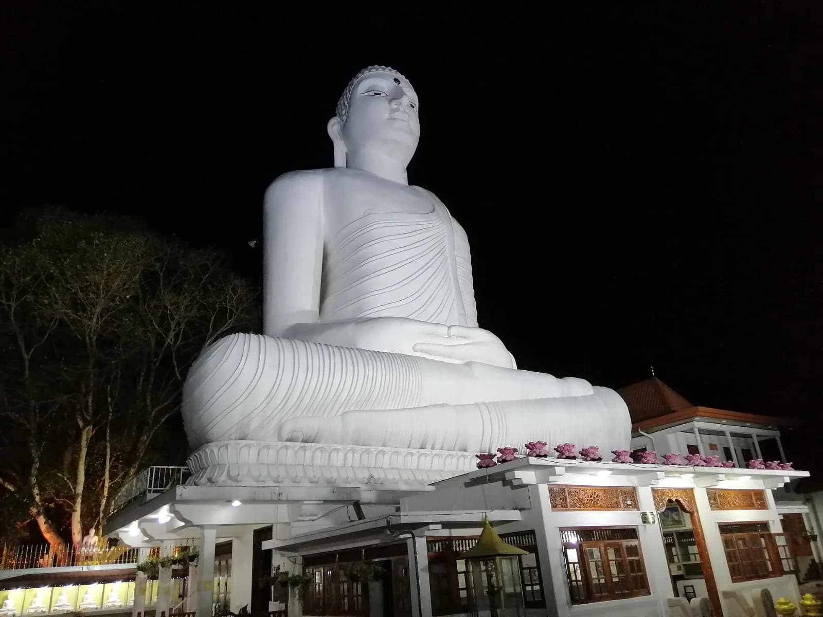 Exploring Kandy 1
